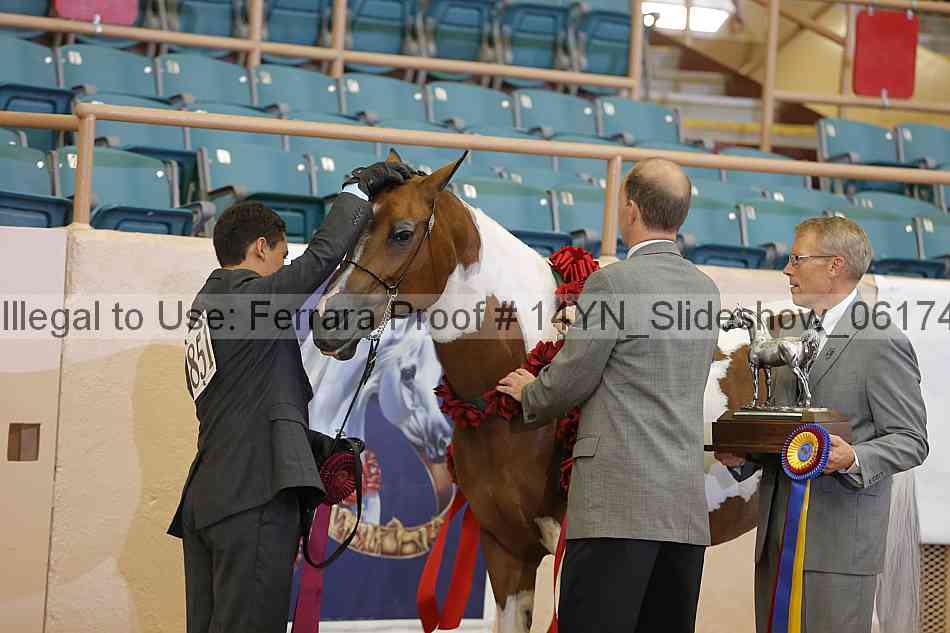 Proof 14yn_slideshow_06174
