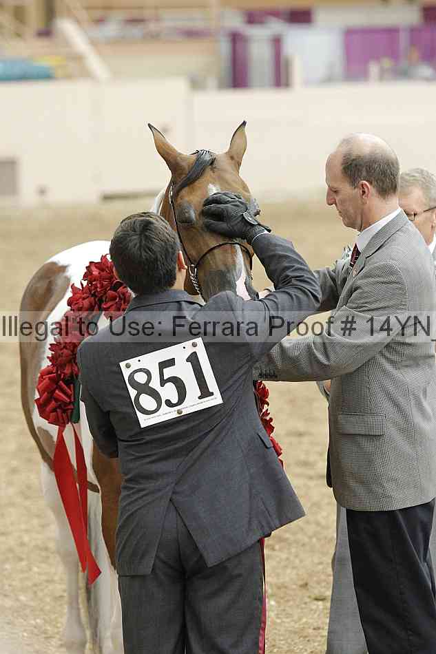 Proof 14yn_slideshow_06175