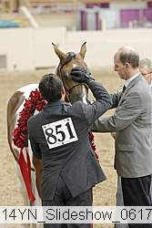 14yn_slideshow_06175 proof