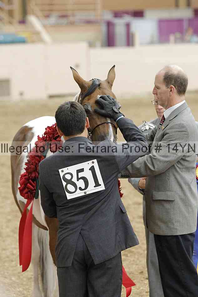 Proof 14yn_slideshow_06176