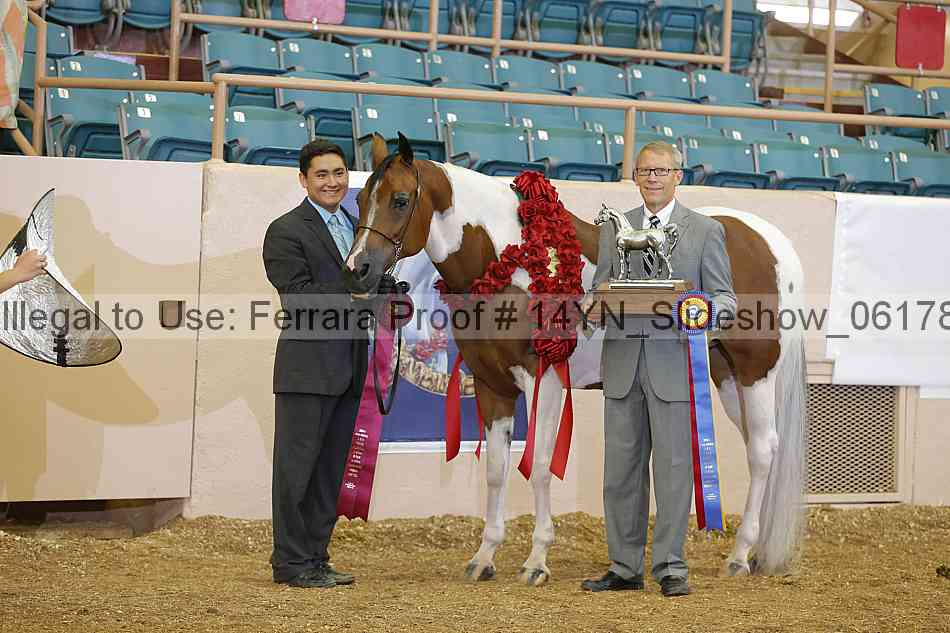 Proof 14yn_slideshow_06178