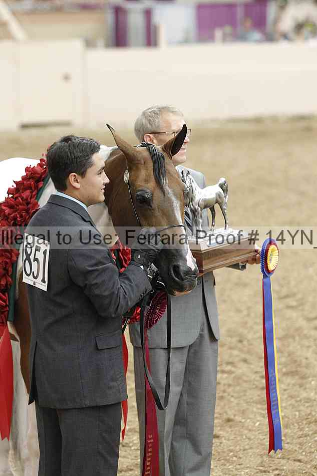 Proof 14yn_slideshow_06179
