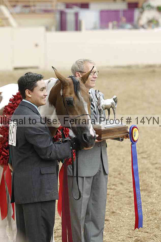Proof 14yn_slideshow_06180