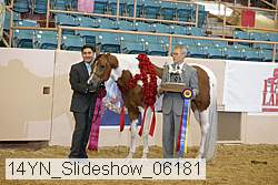 14yn_slideshow_06181 proof