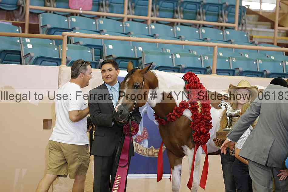 Proof 14yn_slideshow_06183