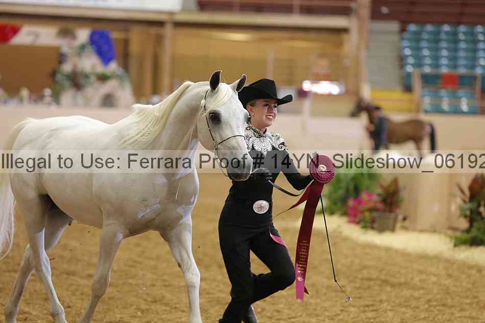 Proof 14yn_slideshow_06192