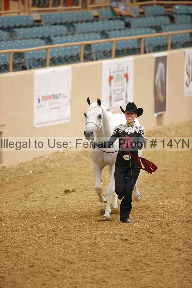 Proof 14yn_slideshow_06193