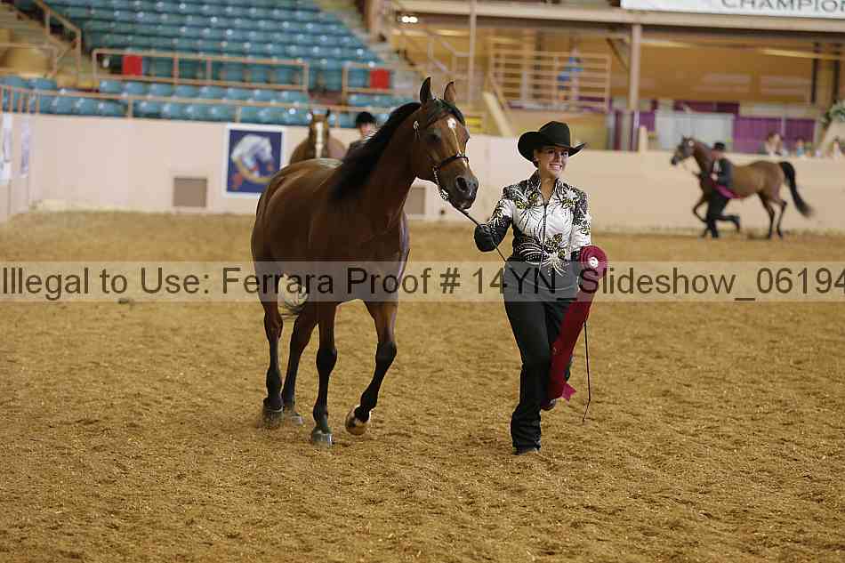 Proof 14yn_slideshow_06194