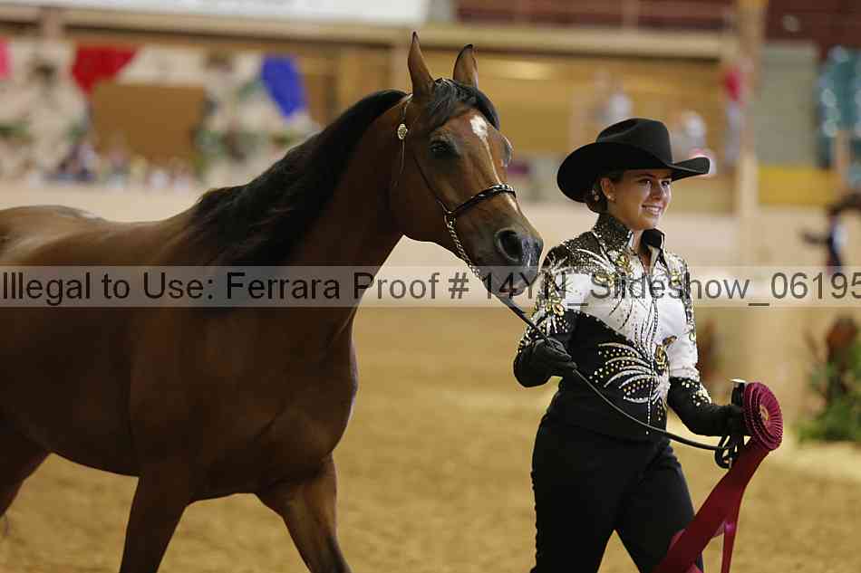 Proof 14yn_slideshow_06195