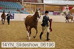 14yn_slideshow_06196 proof