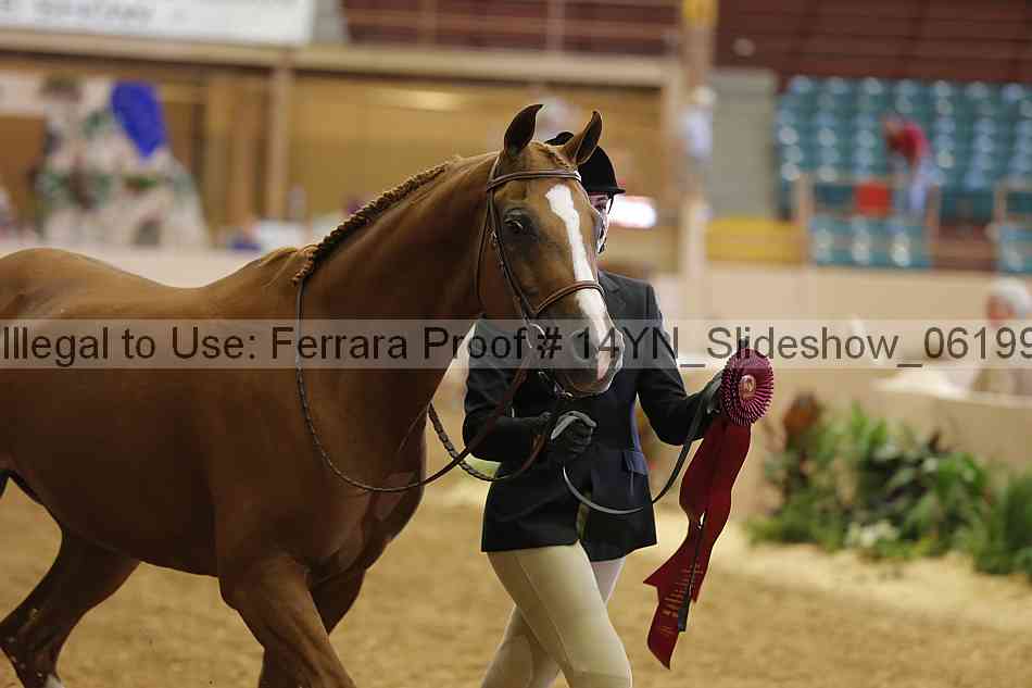 Proof 14yn_slideshow_06199