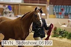 14yn_slideshow_06199 proof