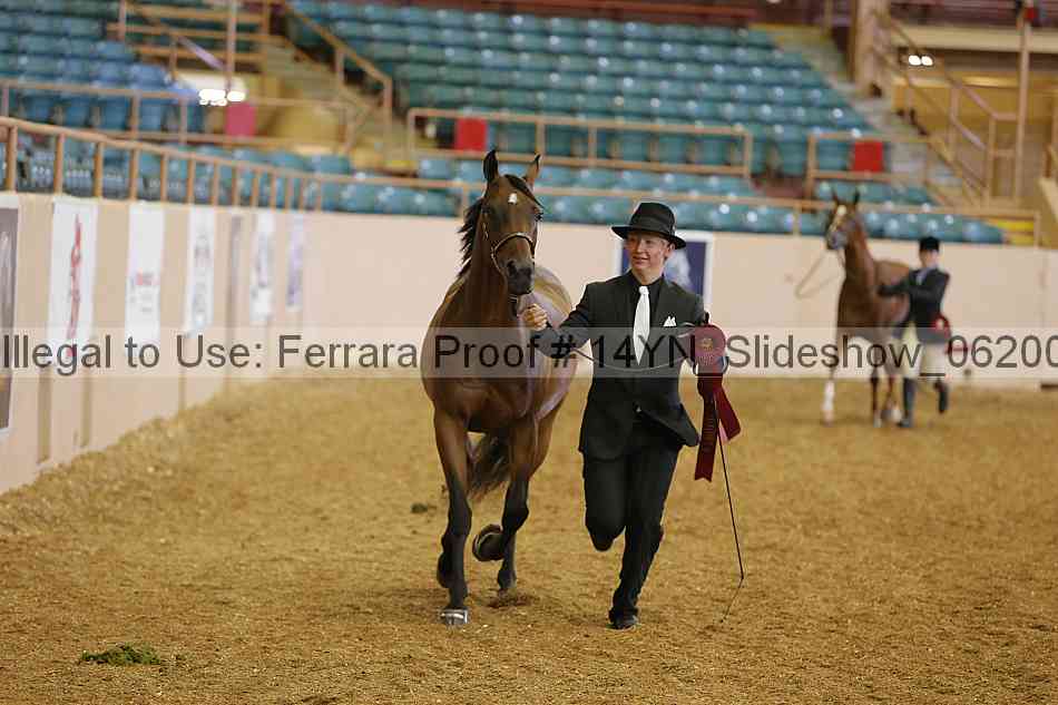 Proof 14yn_slideshow_06200
