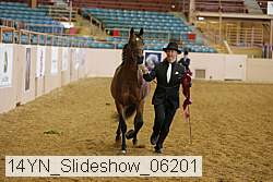 14yn_slideshow_06201 proof