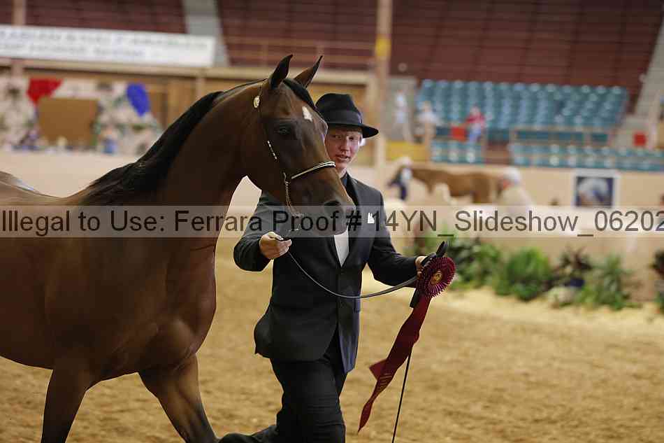 Proof 14yn_slideshow_06202