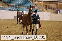 14yn_slideshow_06205 proof
