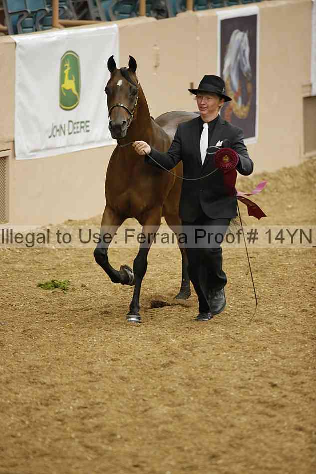 Proof 14yn_slideshow_06206