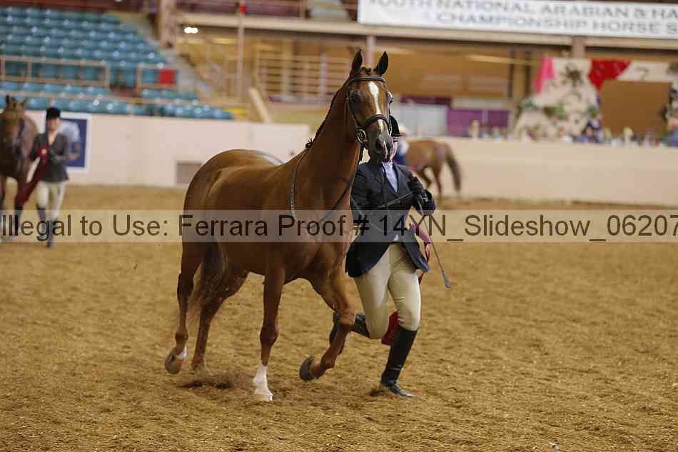 Proof 14yn_slideshow_06207