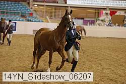 14yn_slideshow_06207 proof
