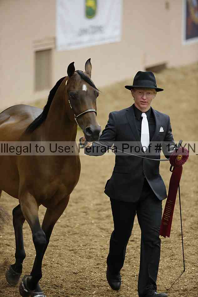 Proof 14yn_slideshow_06208