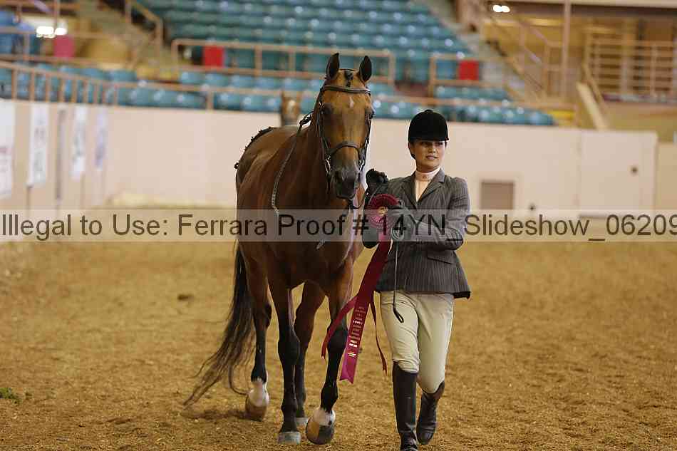 Proof 14yn_slideshow_06209