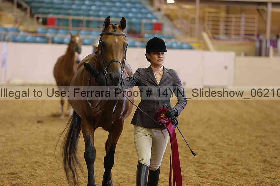 Proof 14yn_slideshow_06210