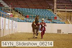 14yn_slideshow_06214 proof