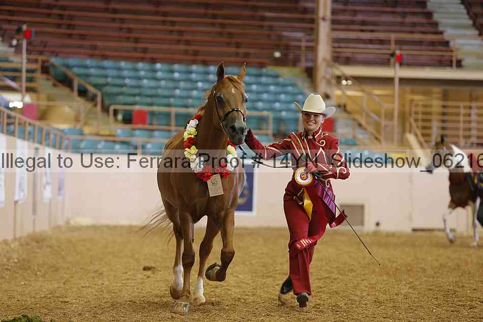 Proof 14yn_slideshow_06216