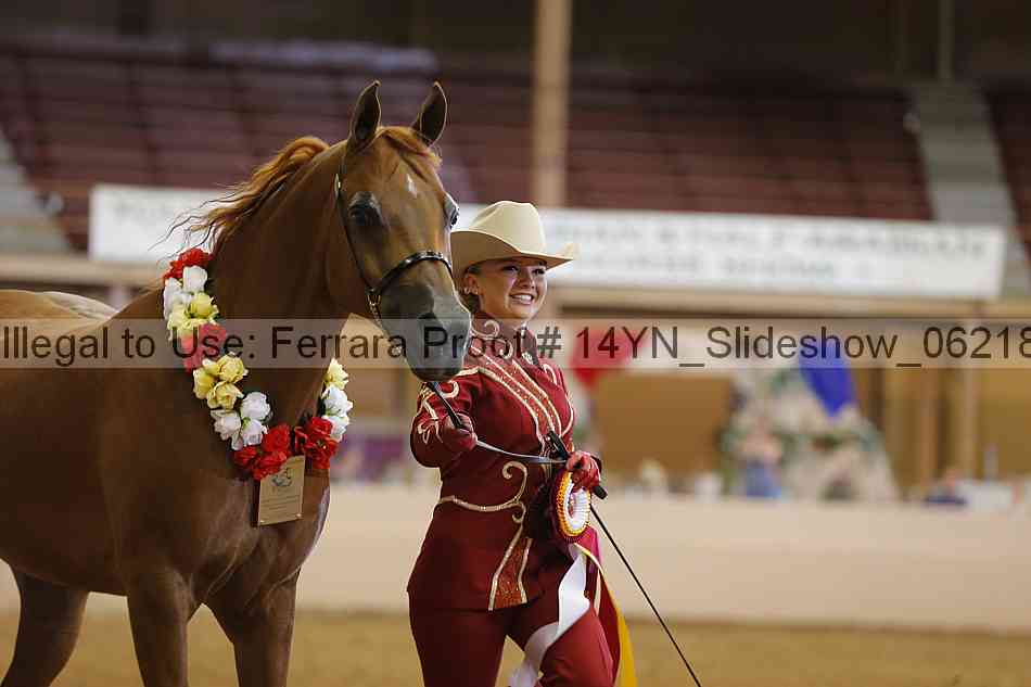 Proof 14yn_slideshow_06218