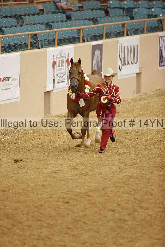 Proof 14yn_slideshow_06219