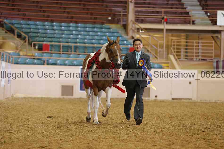 Proof 14yn_slideshow_06220