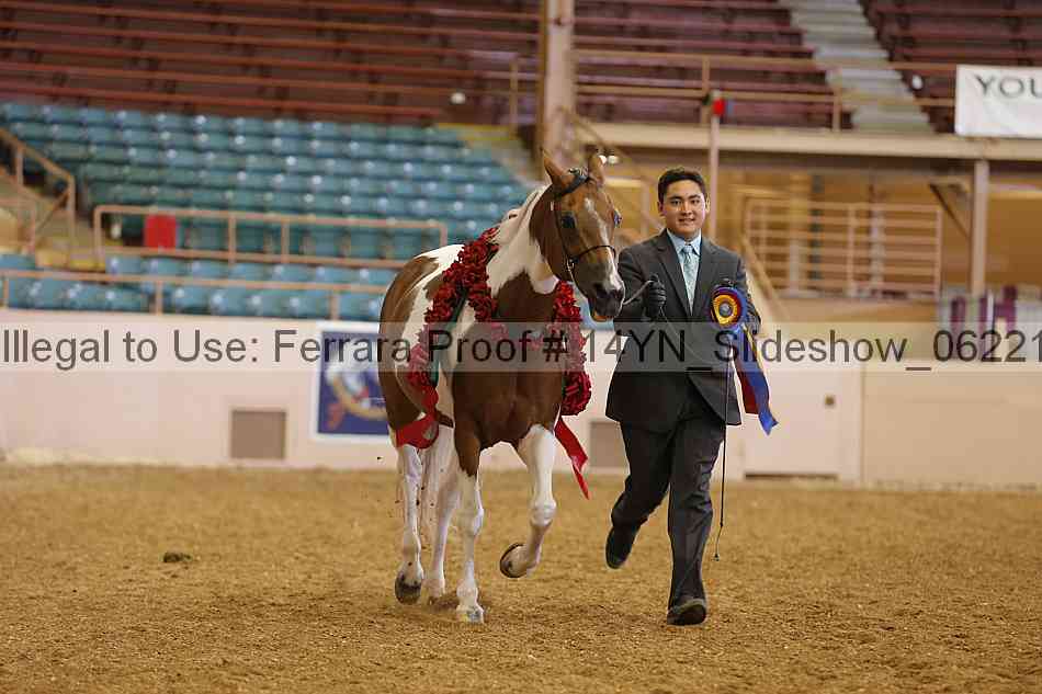 Proof 14yn_slideshow_06221