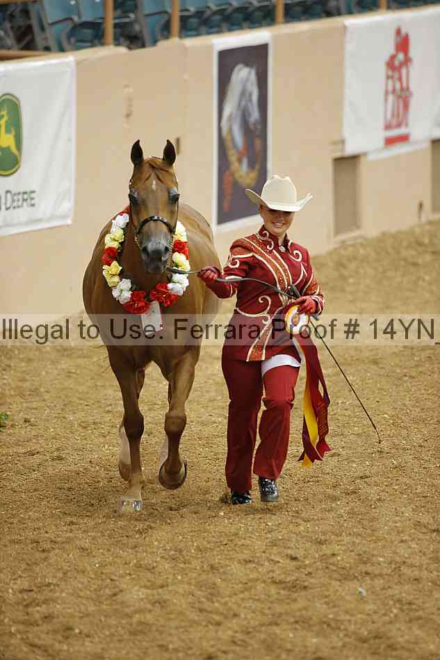 Proof 14yn_slideshow_06222
