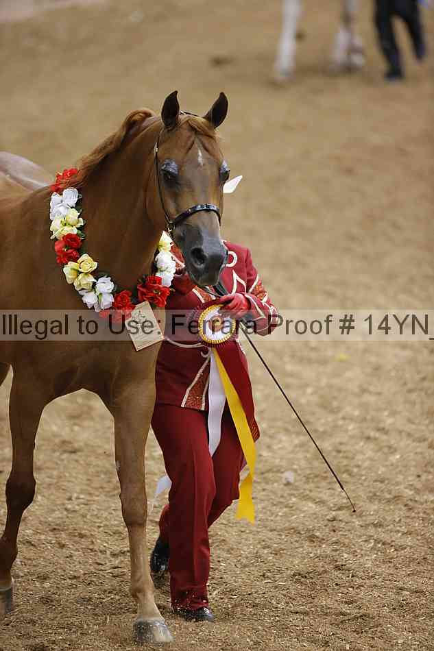 Proof 14yn_slideshow_06224