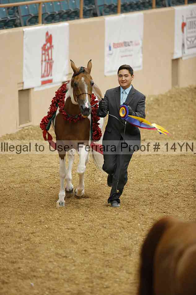 Proof 14yn_slideshow_06225