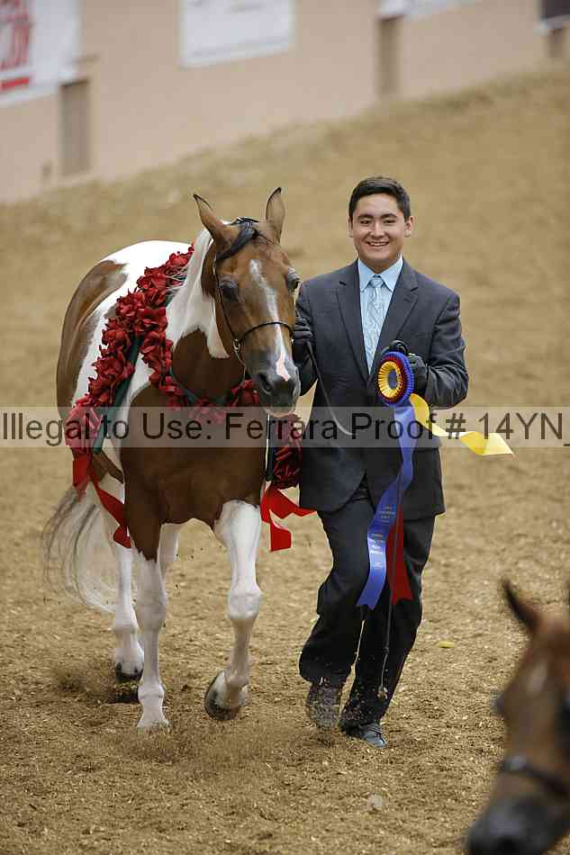 Proof 14yn_slideshow_06227