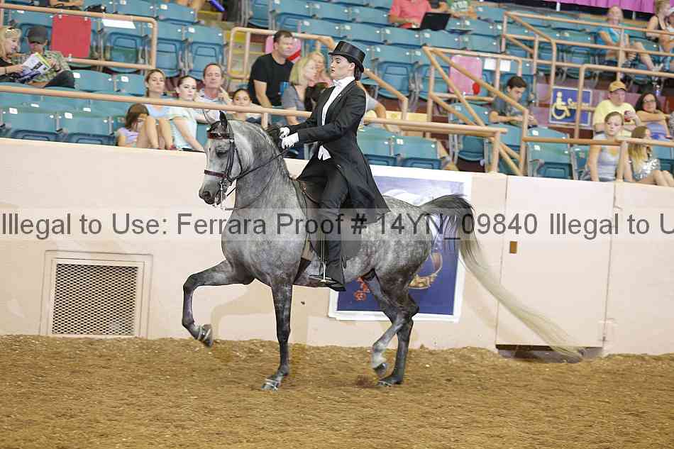 Proof 14yn_09840