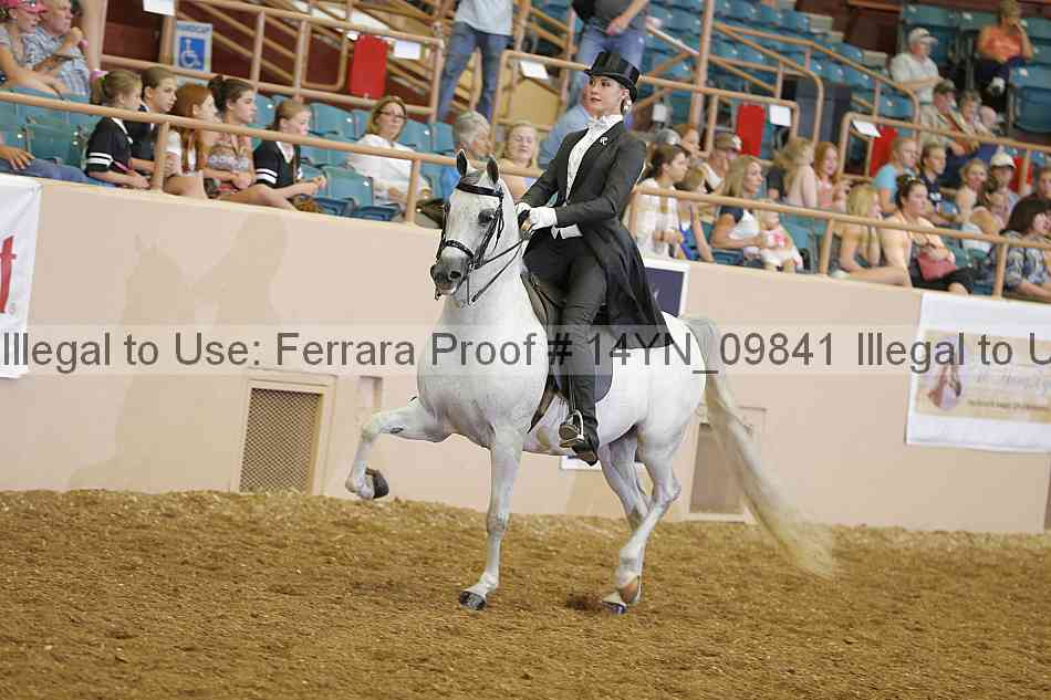 Proof 14yn_09841