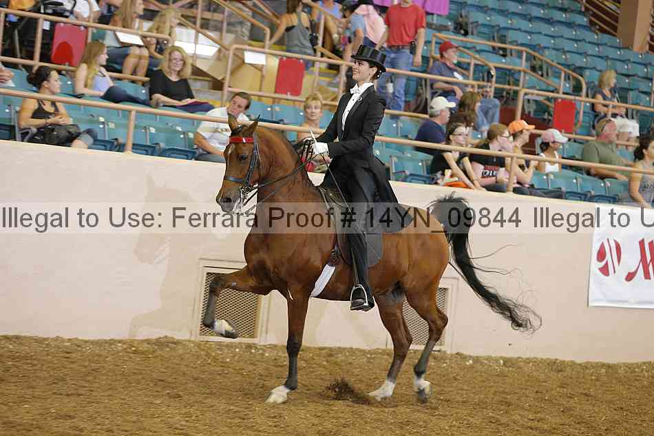 Proof 14yn_09844