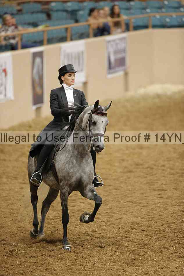 Proof 14yn_09846