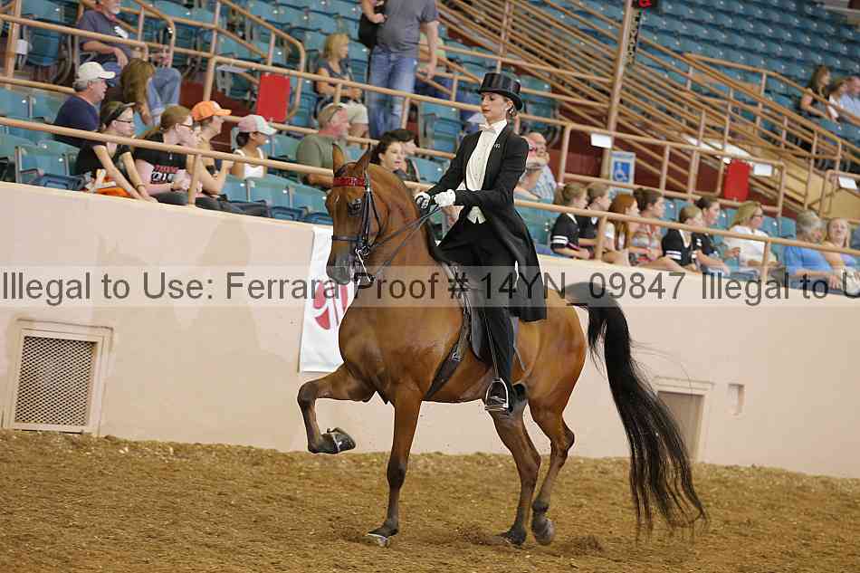 Proof 14yn_09847