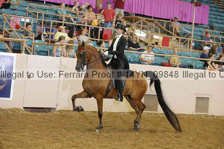 Proof 14yn_09848