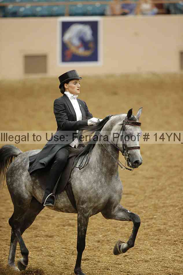 Proof 14yn_09849