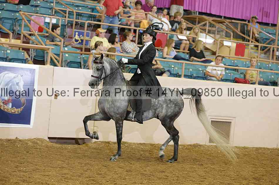 Proof 14yn_09850