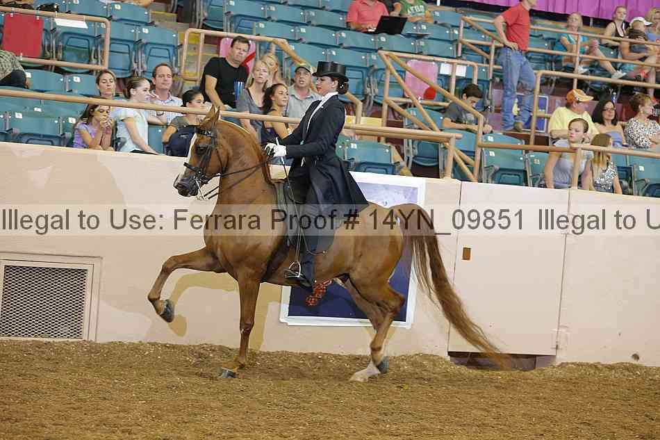 Proof 14yn_09851