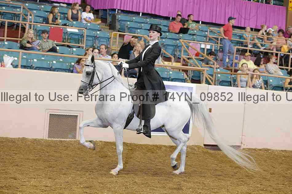 Proof 14yn_09852