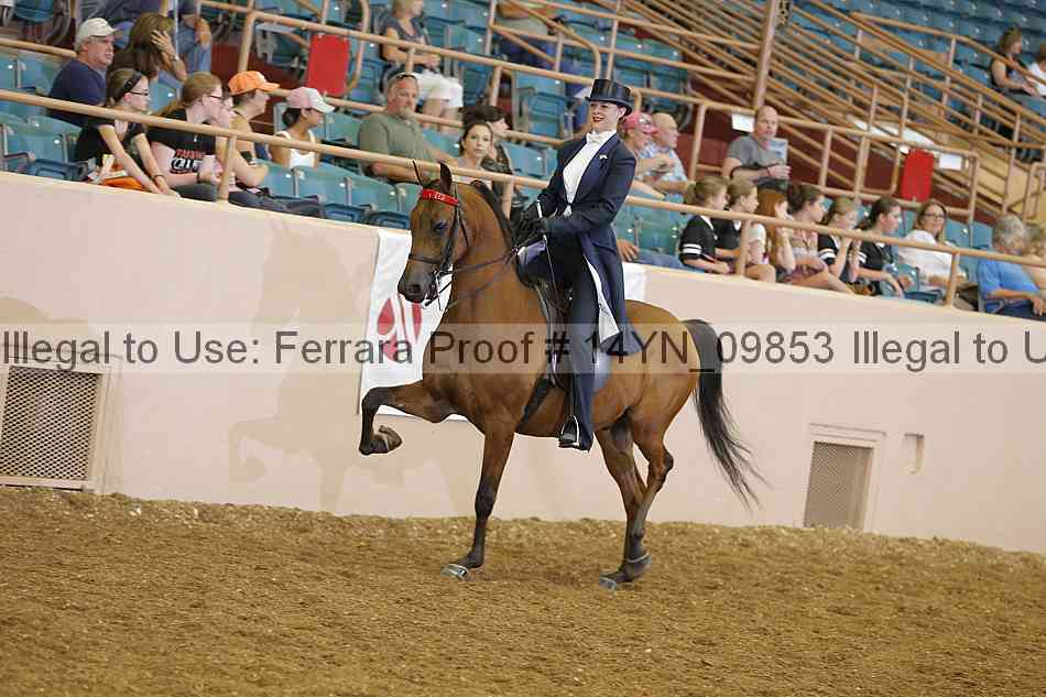 Proof 14yn_09853