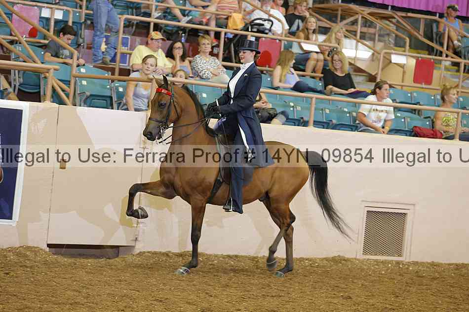 Proof 14yn_09854