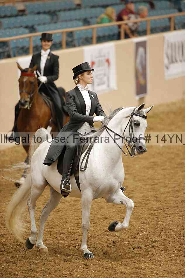 Proof 14yn_09855