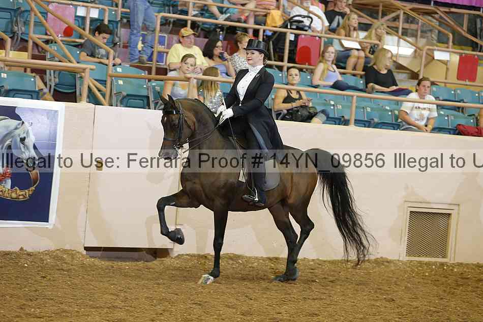 Proof 14yn_09856